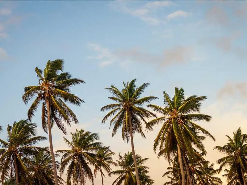 화성오수관막힘